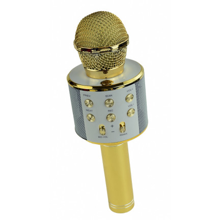 TG67276 KABELLOSES KARAOKE-MIKROFON BLUETOOTH LAUTSPRECHER