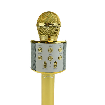 TG67276 KABELLOSES KARAOKE-MIKROFON BLUETOOTH LAUTSPRECHER