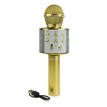 TG67276 KABELLOSES KARAOKE-MIKROFON BLUETOOTH LAUTSPRECHER