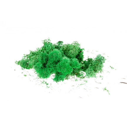 TG55850-2 RENTIERMOOS NATÜRLICHES SCHILFROHR 30G