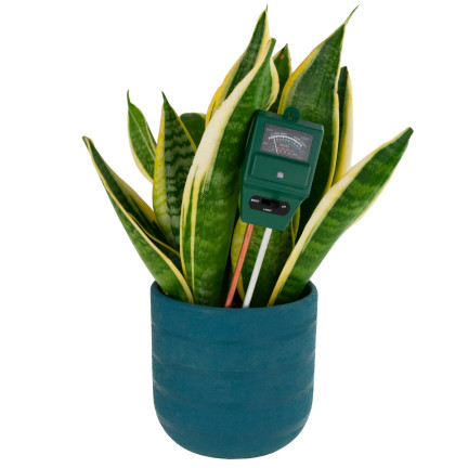 TG60492 3-in-1 Soil pH and Moisture Tester by Słońca