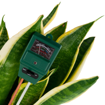 TG60492 3-in-1 Soil pH and Moisture Tester by Słońca