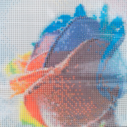 TG64203-12 DIAMANT EMBROIDED Diamant Malerei Diamant Mosaik Regenbogen Rose 5D