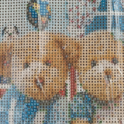 TG64203-4 DIAMANT-STICKEREI MALEREI 3D-TEDDYBÄREN