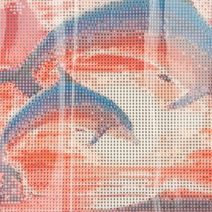 Diamant-stickerei malerei 3d delphine