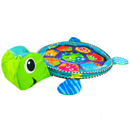 Schildkröte matt