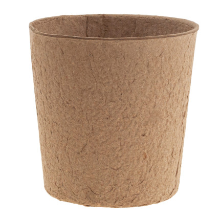 TG67327 TORF TÖPFE GROSS P10 SÄMLINGE SÄMLINGE 10CM 5PCS 0.5L