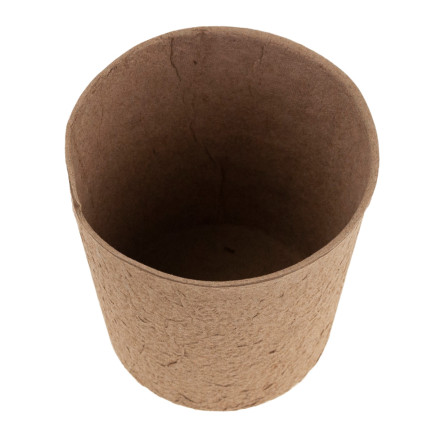 TG67327 TORF TÖPFE GROSS P10 SÄMLINGE SÄMLINGE 10CM 5PCS 0.5L