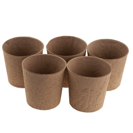 TG67327 TORF TÖPFE GROSS P10 SÄMLINGE SÄMLINGE 10CM 5PCS 0.5L