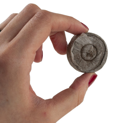 TG67344 disky na klonování arašídů 20ks 3,5cm
