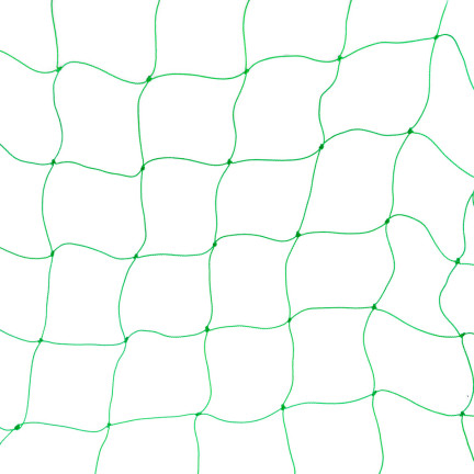 TG71981 Netzstütze für blühende Pflanzen 0,9x5M Leiterstütze