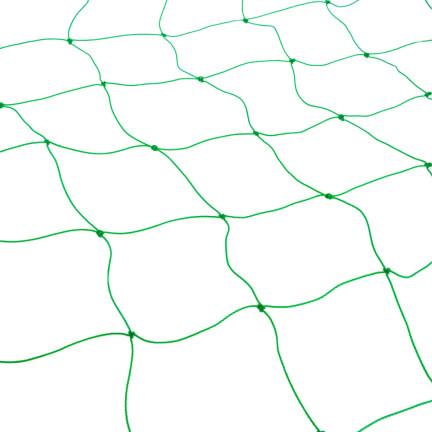 TG71981 Netzstütze für blühende Pflanzen 0,9x5M Leiterstütze