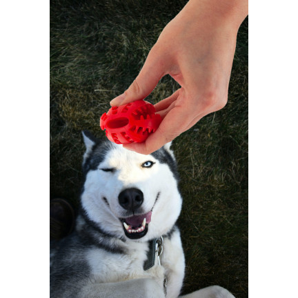 TG67718 BALL HUND SPIELZEUG KAUEN BEHANDELN BALL