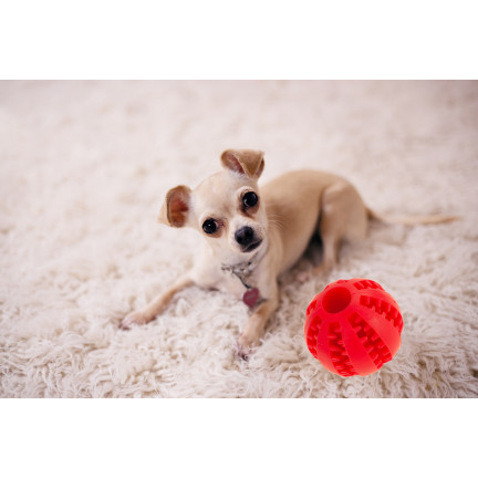 TG67718 BALL HUND SPIELZEUG KAUEN BEHANDELN BALL