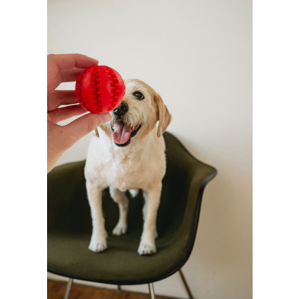 TG67718 BALL HUND SPIELZEUG KAUEN BEHANDELN BALL