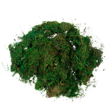 TG70316 Artificial Moss, 1 kg, Loose, Decorative, for Floral Arrangements, Green, Durable