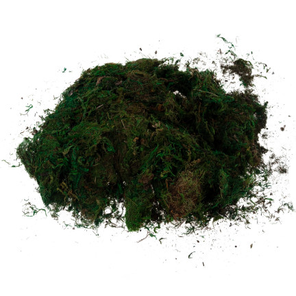 TG70316 Artificial Moss, 1 kg, Loose, Decorative, for Floral Arrangements, Green, Durable