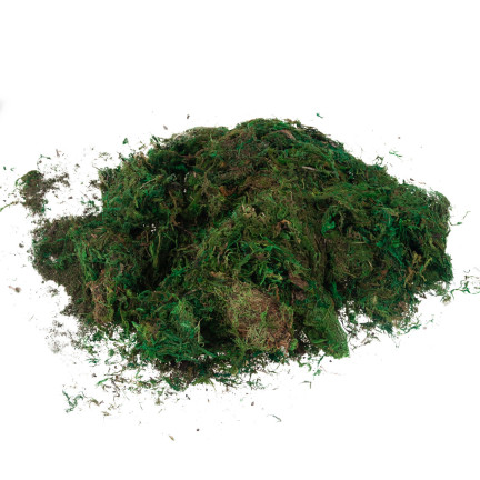 TG70316 Artificial Moss, 1 kg, Loose, Decorative, for Floral Arrangements, Green, Durable