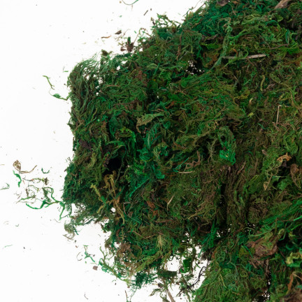 TG70316 Artificial Moss, 1 kg, Loose, Decorative, for Floral Arrangements, Green, Durable