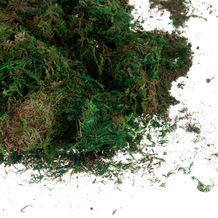 TG70316 Artificial Moss, 1 kg, Loose, Decorative, for Floral Arrangements, Green, Durable