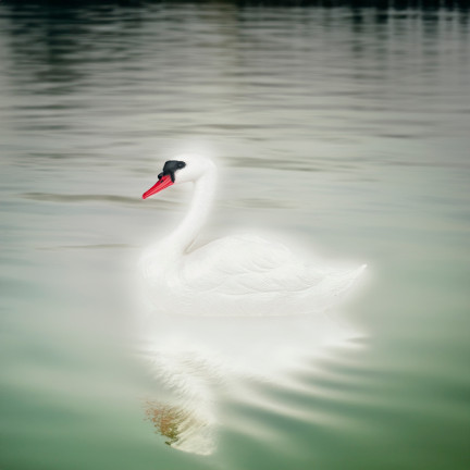 TG71080 SCHWAN KUNSTSTOFF SCHWIMMENDE FIGUR SCHWAN TEICH FIGUR
