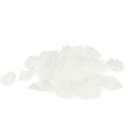 TG71329 KONFETTI ROSE BLÜTENBLÄTTER WEISS SCHIESSEN ROHR FÜR HOCHZEIT ENGAGEMENT VALENTINSTAG HOCHZEIT