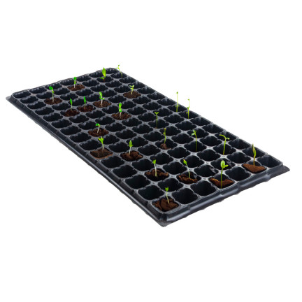TG71792 Multiplatten 105 Fächer Aussaatpaletten Produktionstöpfe