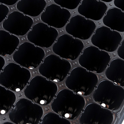 TG71792 Multiplatten 105 Fächer Aussaatpaletten Produktionstöpfe