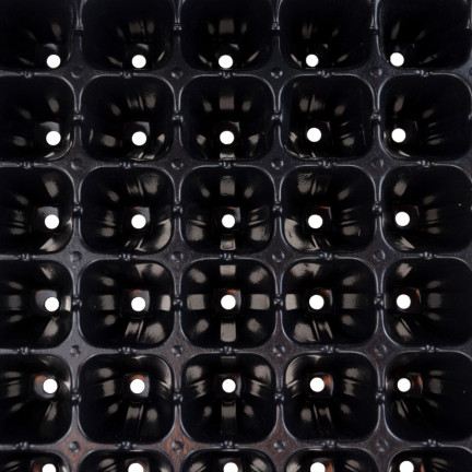 TG71792 Multiplatten 105 Fächer Aussaatpaletten Produktionstöpfe