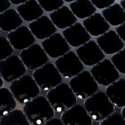 TG71793 Multiplatten 128 Fächer Aussaatpaletten Produktionstöpfe