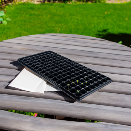 TG71793 Multiplatten 128 Fächer Aussaatpaletten Produktionstöpfe