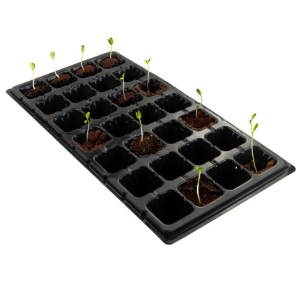 TG71795 multiplates 28 Fächer Aussaat Paletten Produktion Töpfe