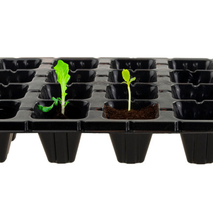 TG71795 multiplates 28 Fächer Aussaat Paletten Produktion Töpfe