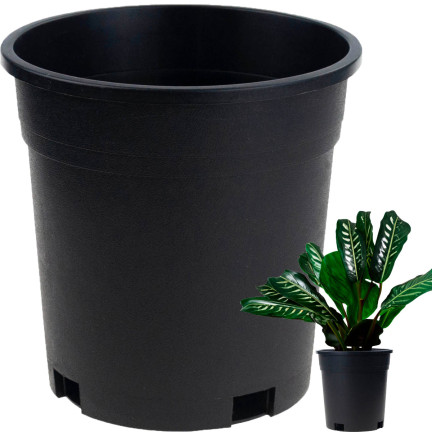 TG72940 PRODUKTIONSTOPF HOCH P14 1,5L RUNDER SETZLINGSTOPF MIT RAND 14X14CM