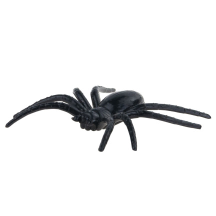 TG78575 PAJĄKI HALLOWEEN 8 SZT/KPL