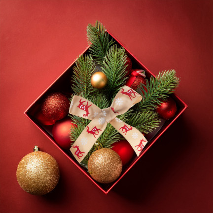 TG78795-1 ribbon, bow, gift wrapping
