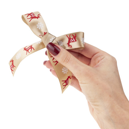 TG78795-1 ribbon, bow, gift wrapping