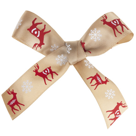 TG78795-1 ribbon, bow, gift wrapping