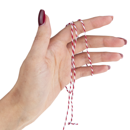 TG80079 DEKORATIVES GESCHENKPAPIER SCHNUR BAND SCHLEIFE