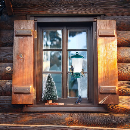 TG80443 KRMÍTKO PRO PTÁKY