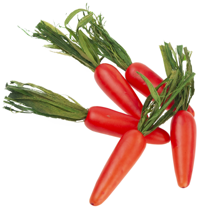 Easter Carrots, Set of 5 Decorative Easter Carrots