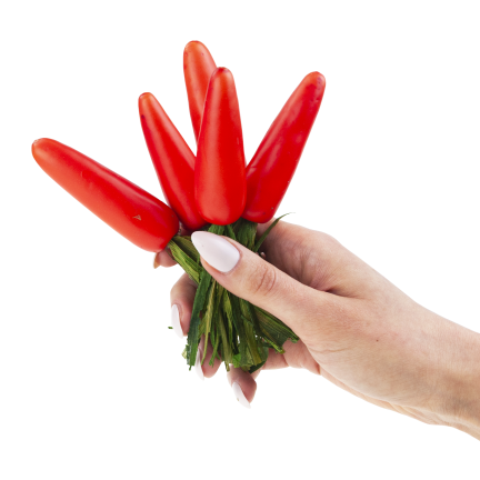 Easter Carrots, Set of 5 Decorative Easter Carrots