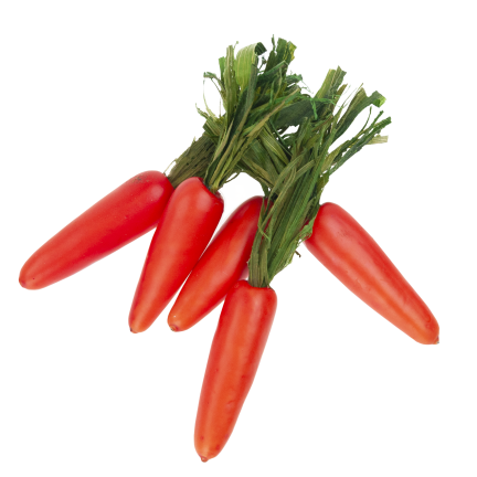 Easter Carrots, Set of 5 Decorative Easter Carrots