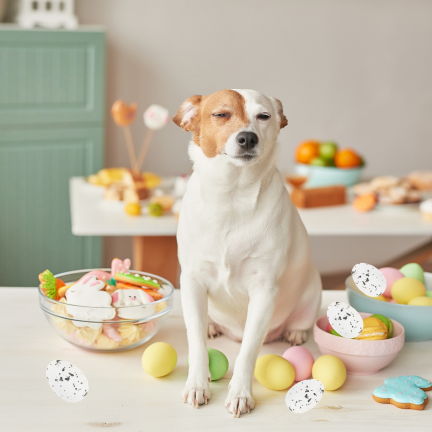 TG81285-1 Egg on a Stick, 36 pcs/set