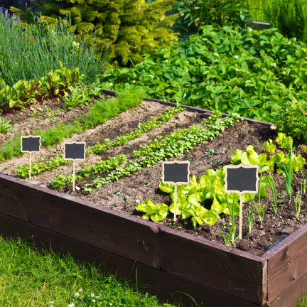 Garden labels, garden signs, wooden, set of 6
