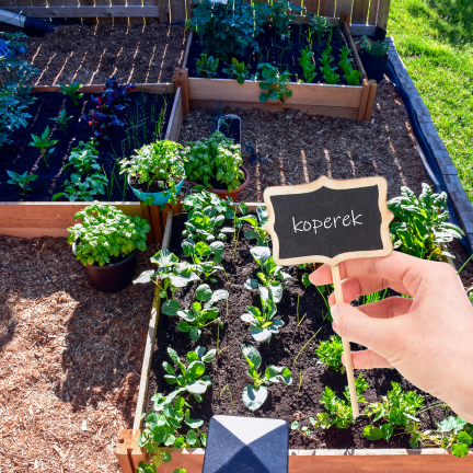 Garden labels, garden signs, wooden, set of 6
