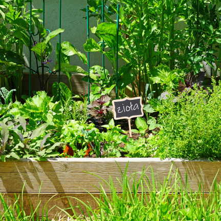 Garden labels, garden signs, wooden, set of 6