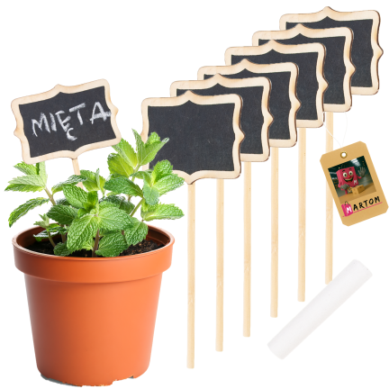 Garden labels, garden signs, wooden, set of 6