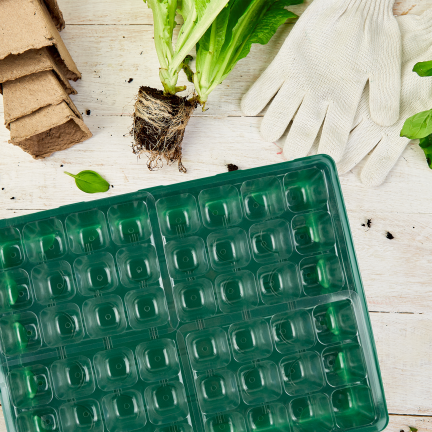 TG81375 Mini Greenhouse, Cold Frame for Germination, Seed Germinator, Seedlings, Ventilation, Sowing