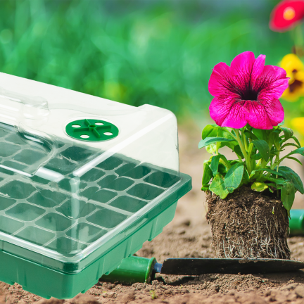 TG81375 Mini Greenhouse, Cold Frame for Germination, Seed Germinator, Seedlings, Ventilation, Sowing